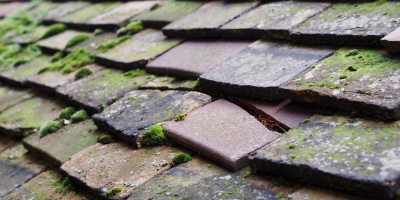 Rye roof repair costs